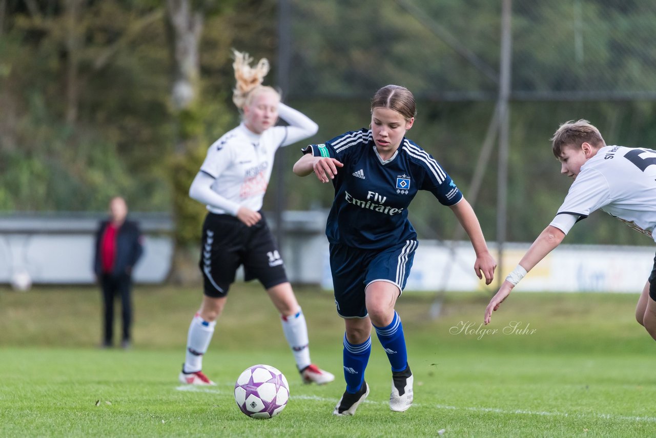 Bild 236 - B-Juniorinnen SV Henstedt Ulzburg - Hamburger SV : Ergebnis: 2:3